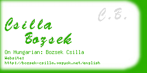 csilla bozsek business card